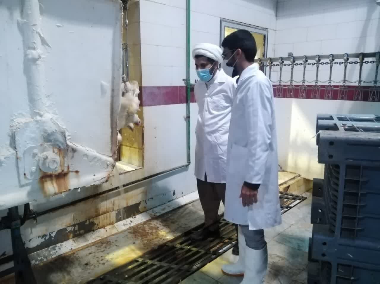 فعالیت ۴۰ ناضر شرعی در طرح تشدید کنترل و نظارت‌های بهداشتی