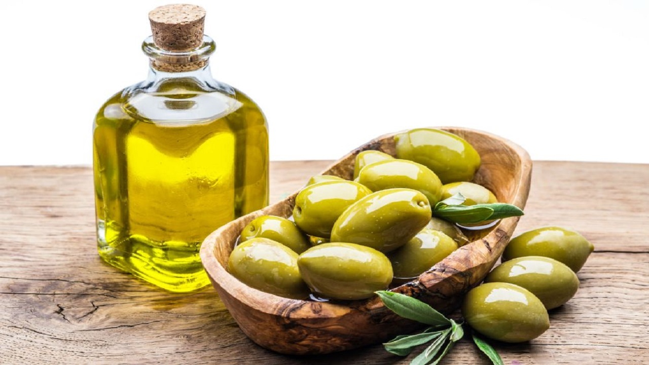 بومی سازی نهال زیتون به همت شرکت دانش بنیان یزدی