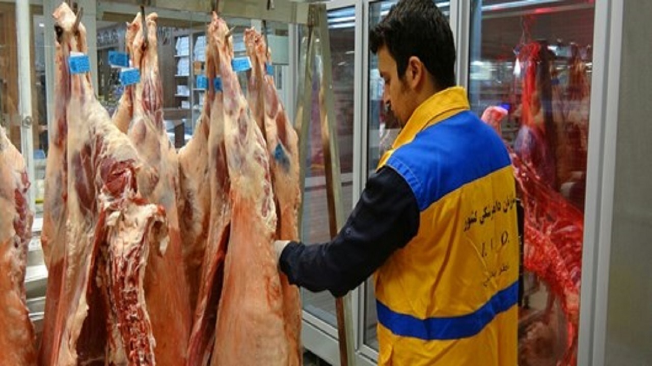 آغاز طرح تشدید نظارت بهداشتی دامپزشکی در شهرستان نهاوند