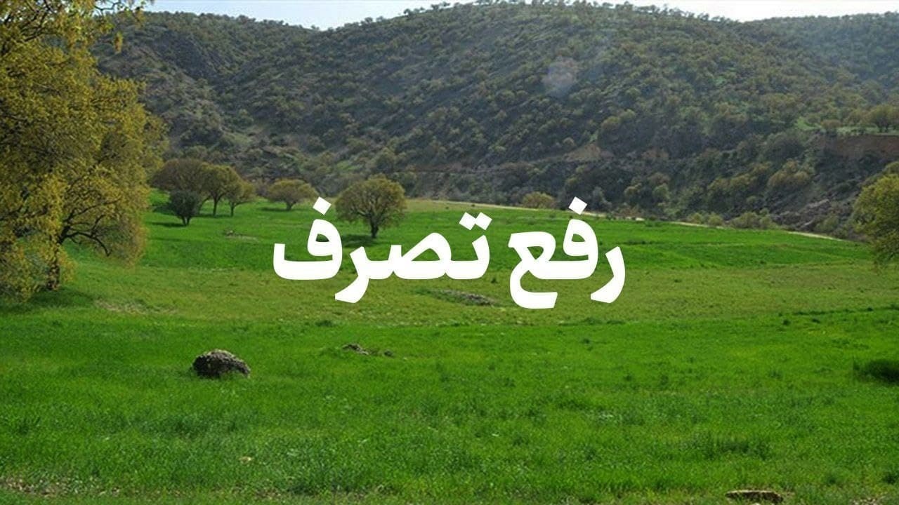رفع تصرف اراضی پناهگاه حیات وحش لوندویل آستارا