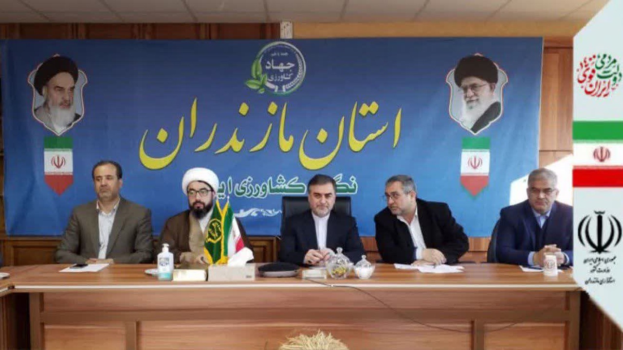 عرضه مستقیم برنج شمال به مسافران نوروزی