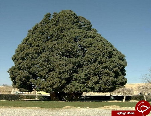 ایام نوروز و سفر به زیباترین مکان&zwnj;های دیدنی استان اصیل و تاریخی ایران +تصویر