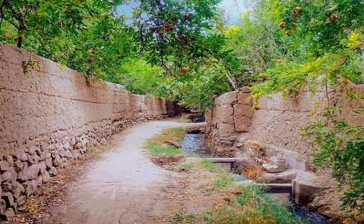 ایام نوروز و سفر به زیباترین مکان&zwnj;های دیدنی اصیل و تاریخی ایران استان یزد +تصویر