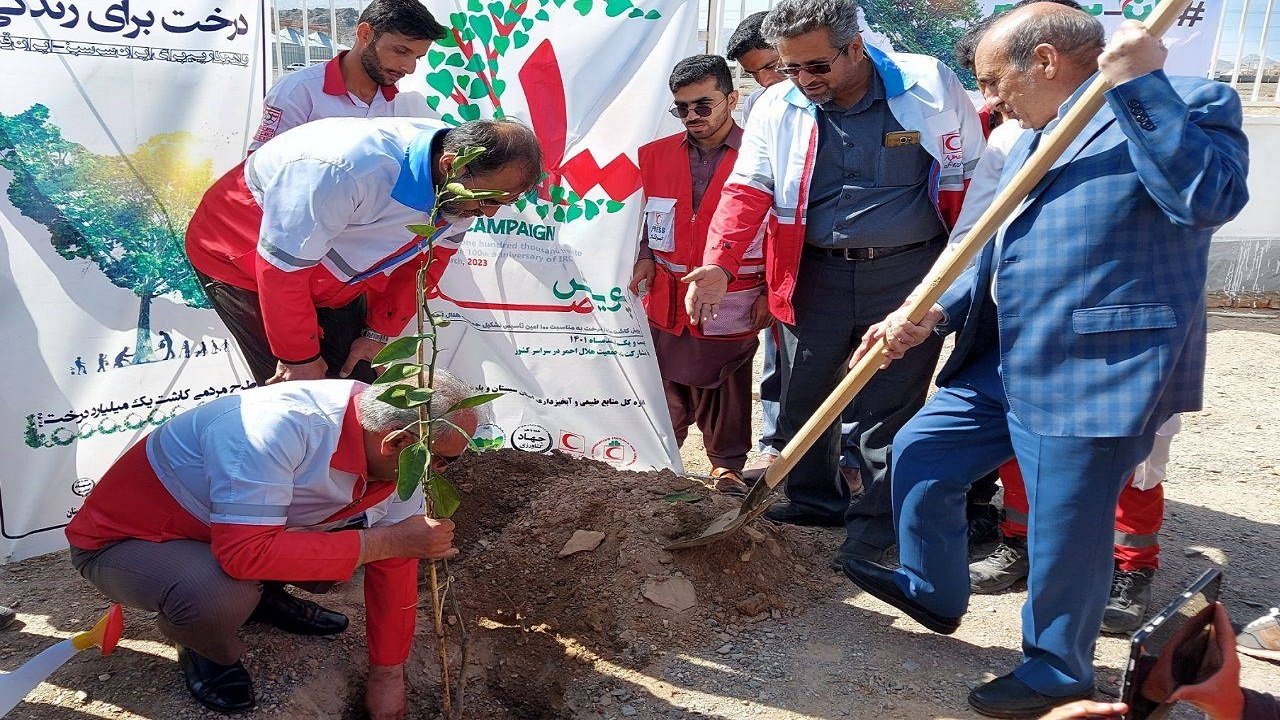 کاشت ۳۷۵۰ اصله درخت در سیستان‌وبلوچستان