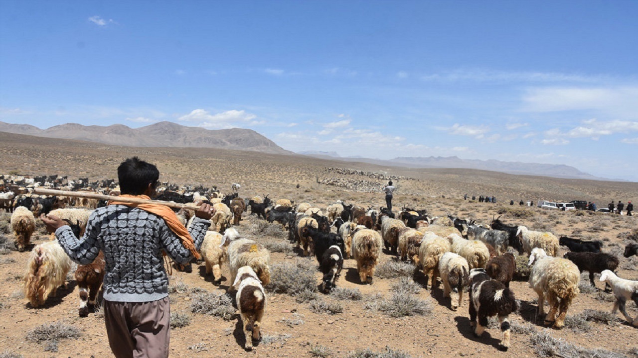 آغاز کوچ عشایر از ۲۰ اردیبهشت