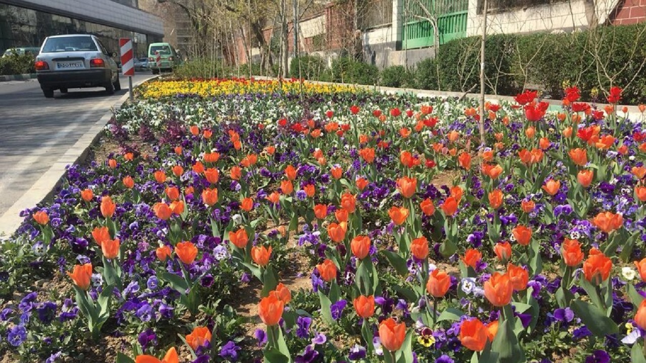ایجاد ۱۰۰۰ فرش گل و کاشت لاله در پایتخت