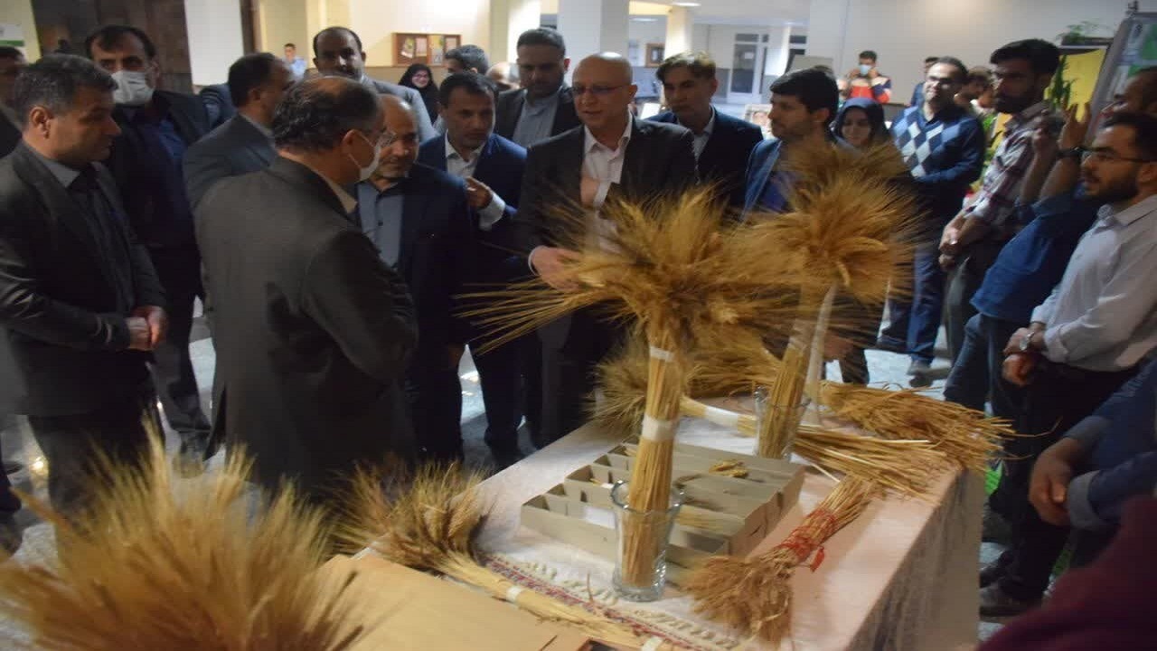 پیشرفت کشور در گرو نگاه ویژه به حوزه دانش بنیان است