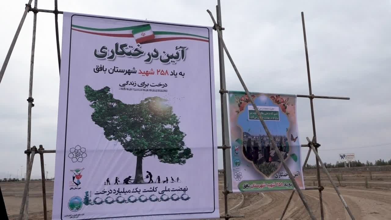 کاشت درخت به یاد ۲۵۸ شهید شهرستان بافق
