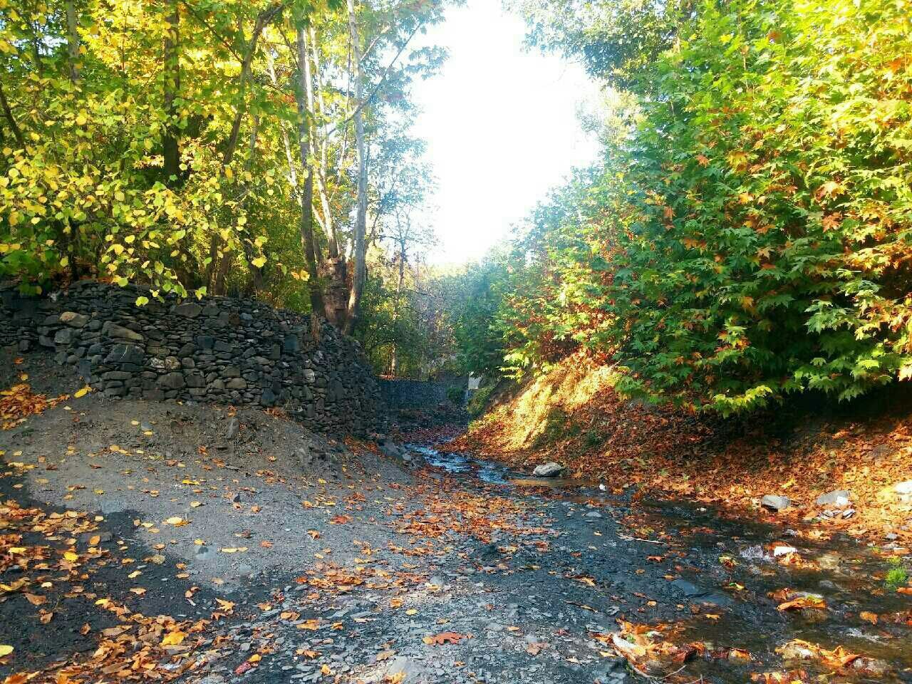 روستای دهبار طرقبه؛ منطقه&zwnj;ای ییلاقی با طبیعتی ۴ &rlm;فصل + عکس