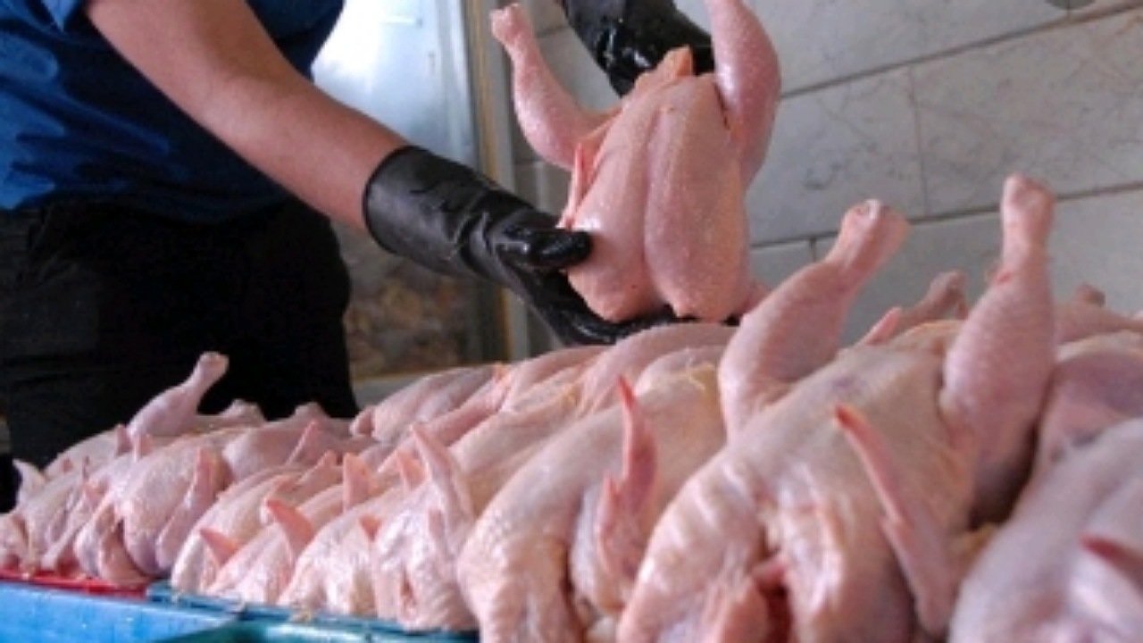 ۶۵۰ تن گوشت مرغ روزانه در بازار خراسان رضوی توزیع می‌شود
