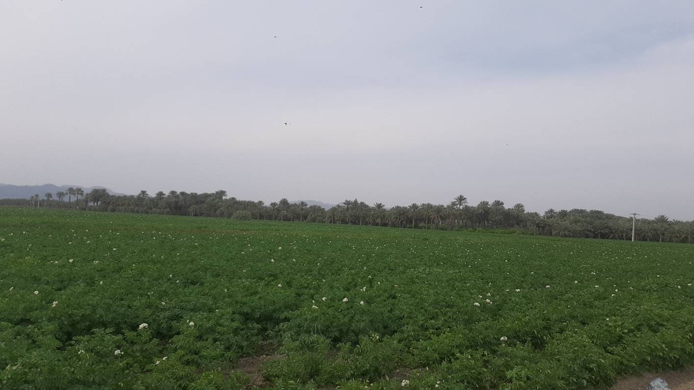 شهرستان منوجان