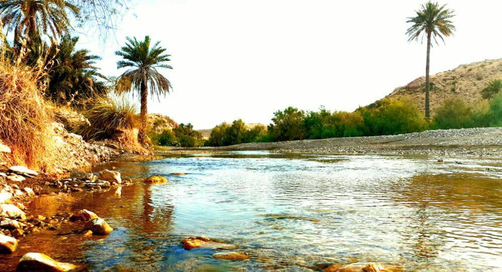 شهرستان منوجان