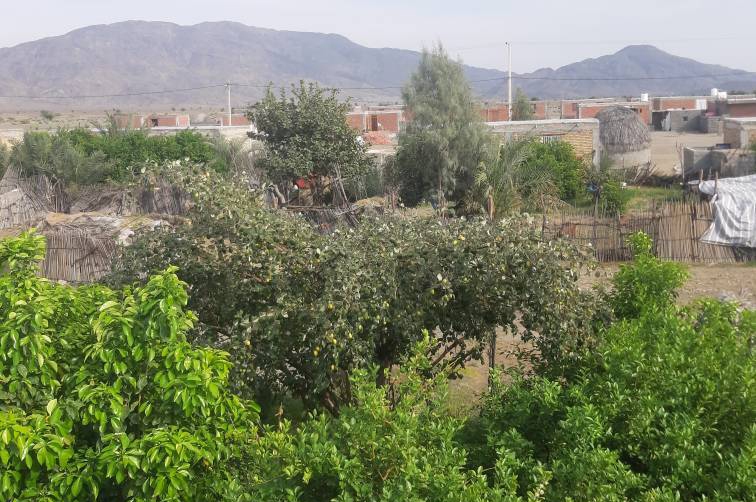 شهرستان منوجان
