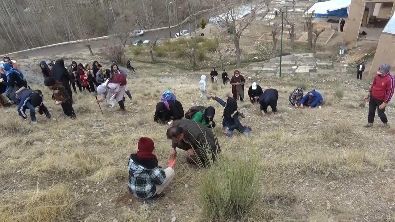 کاشت بذر بادام در زادگاه حاج قاسم