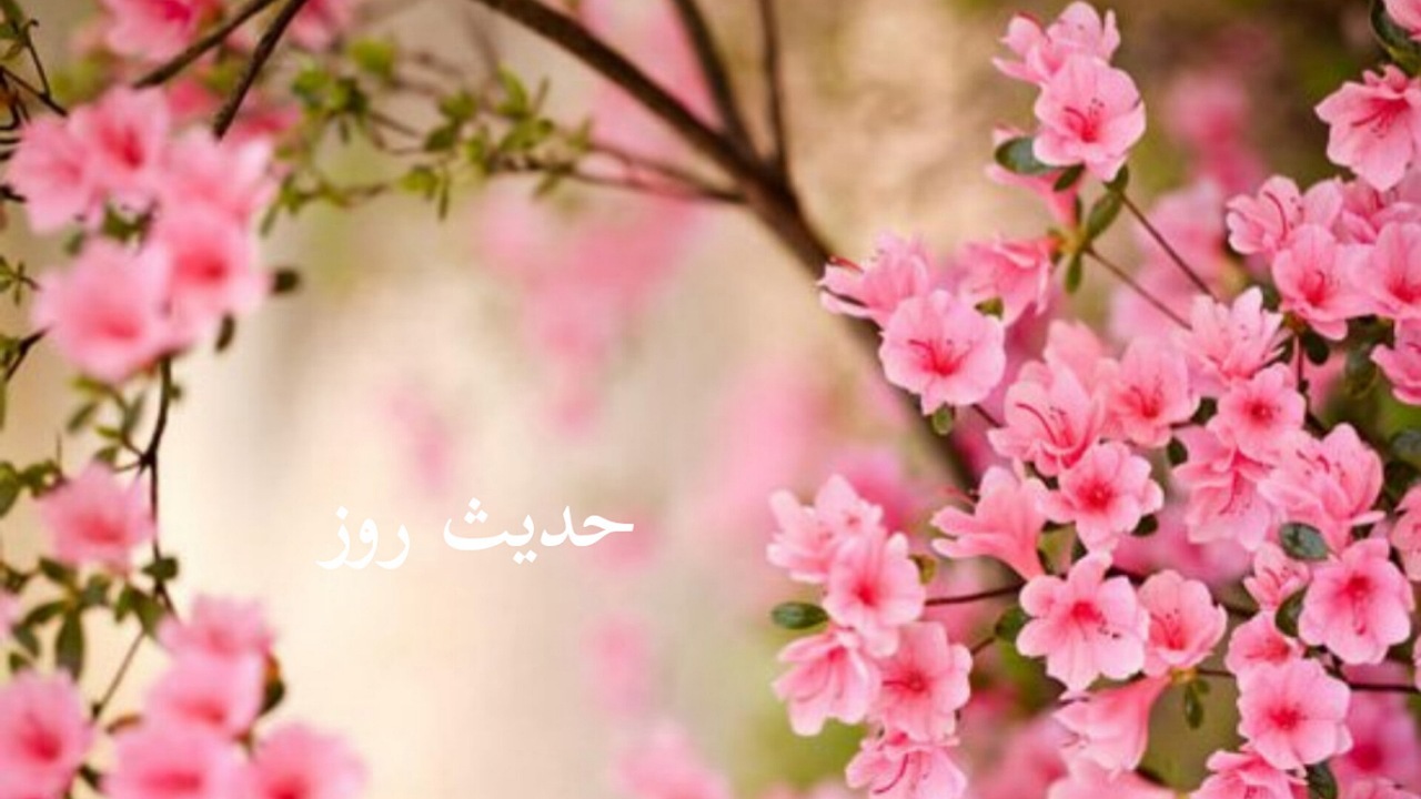 عیدِ واقعی در کلام امیر مومنان(ع)