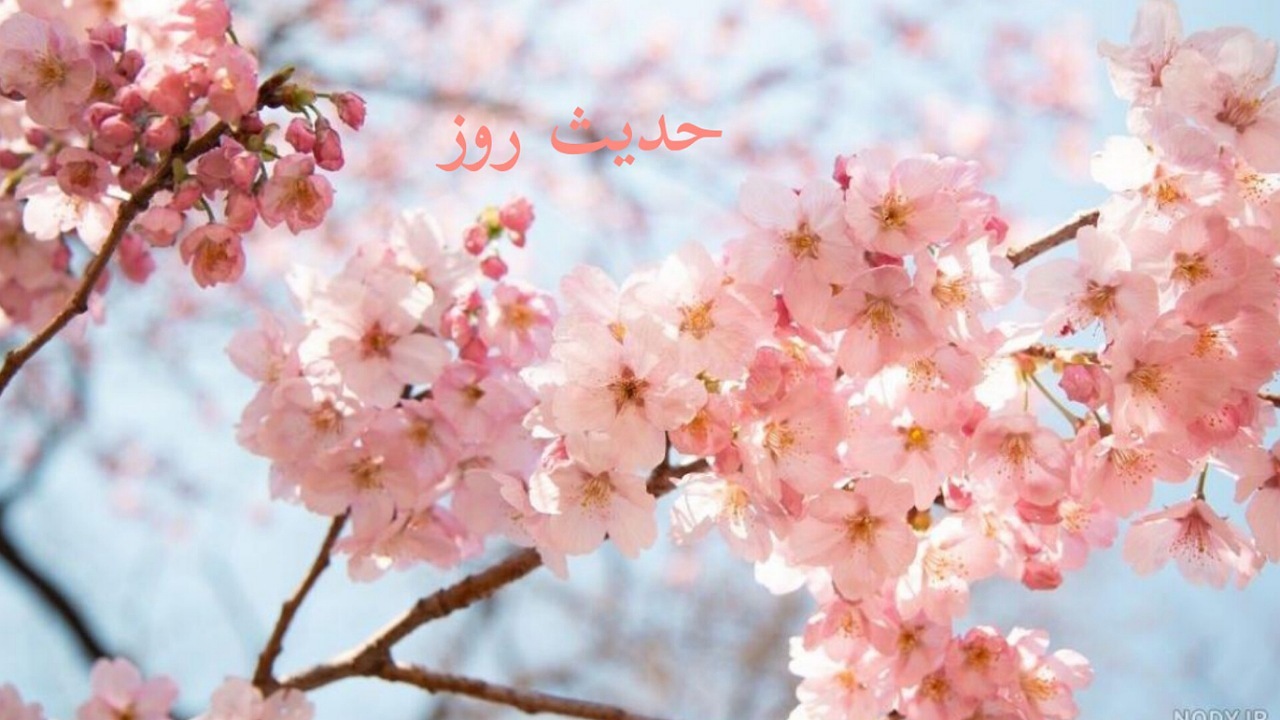 فصل بهار؛ روح زمان‌ها