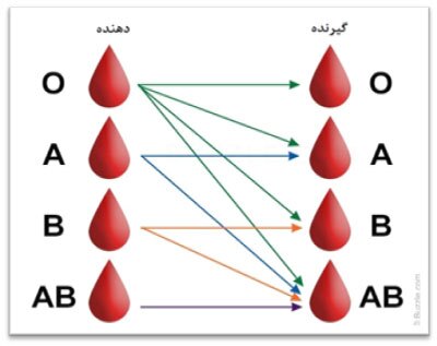 گروهی با خون طلایی/ گزارش عید