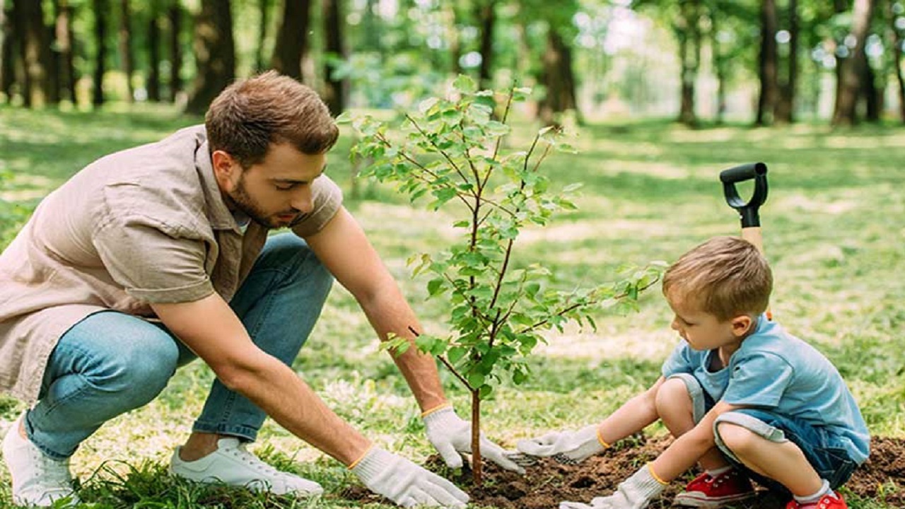 کاشت درخت به یاد شهدای بافق