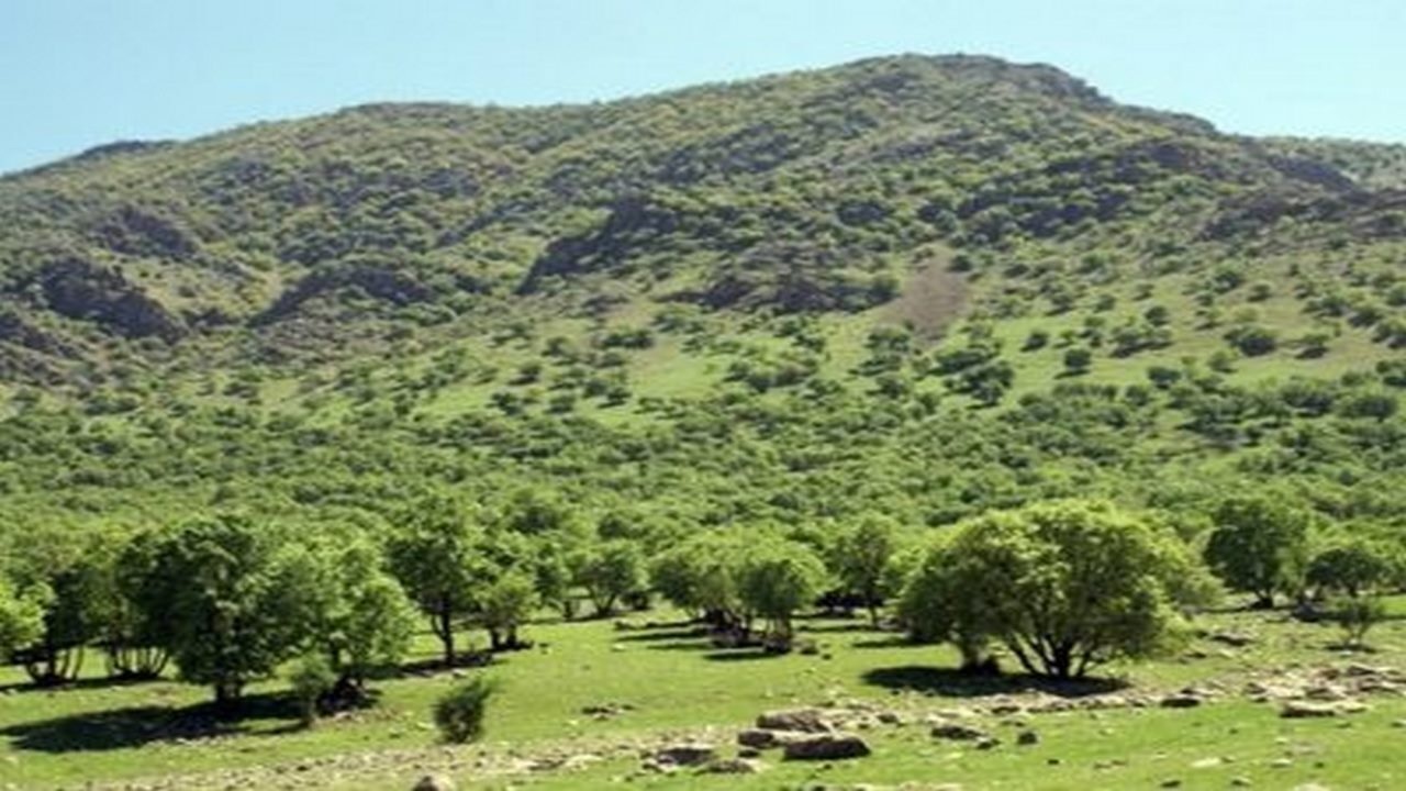استقرار ۱۷ گروه گشت و پایش نوروزی در عرصه‌های طبیعی