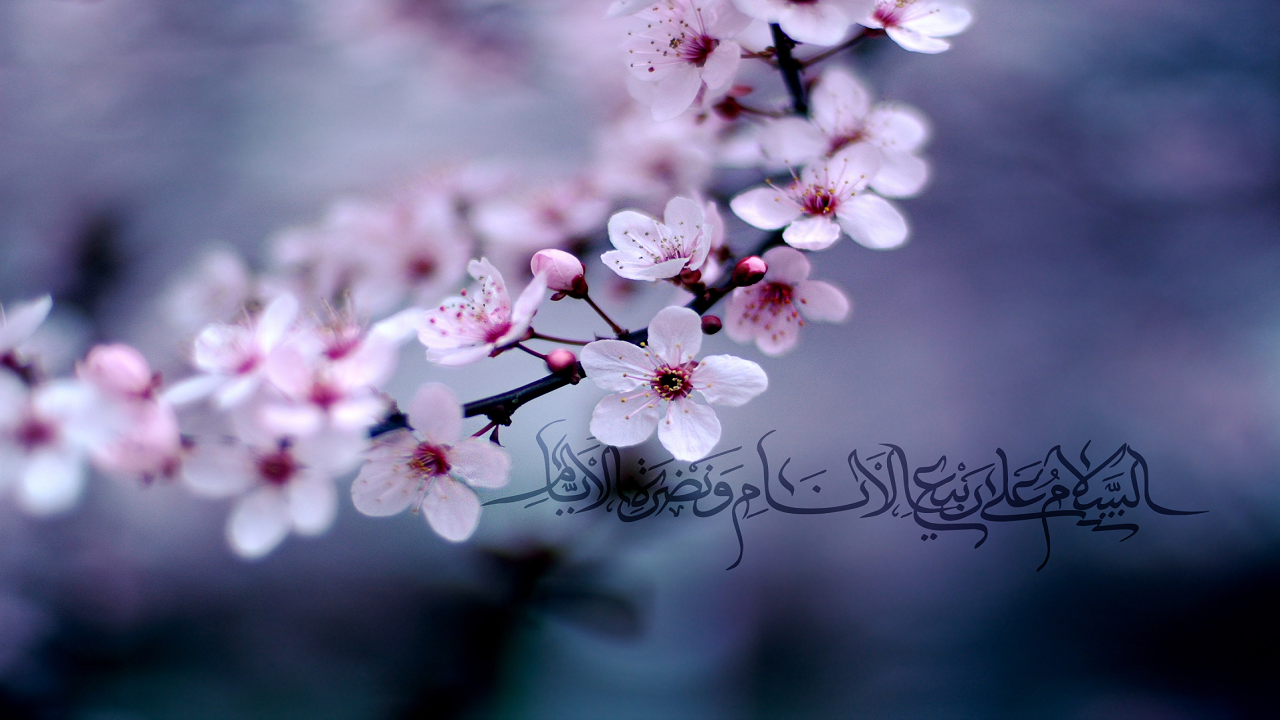 آیاتی از قرآن کریم که بیانگر زنده شدن زمین در فصل بهار هستند