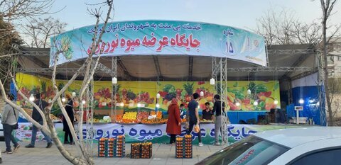 آدرس جایگاه‌های موقت عرضه میوه شب عید اعلام شد
