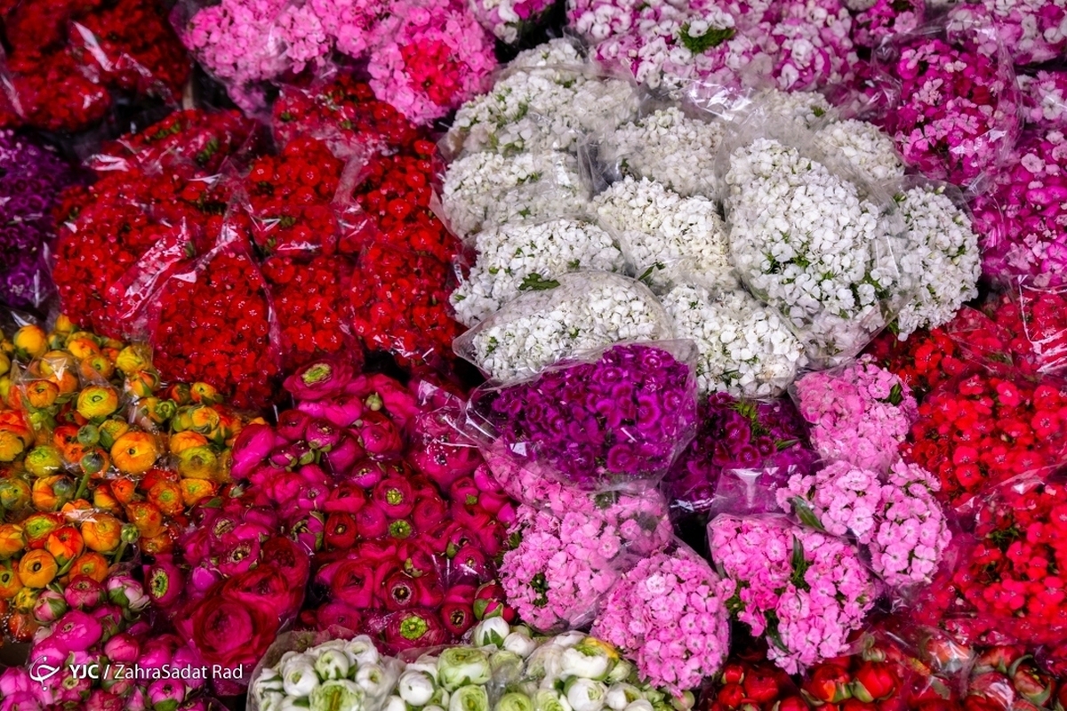 بازار گل محلاتی در آستانه نوروز ۱۴۰۵