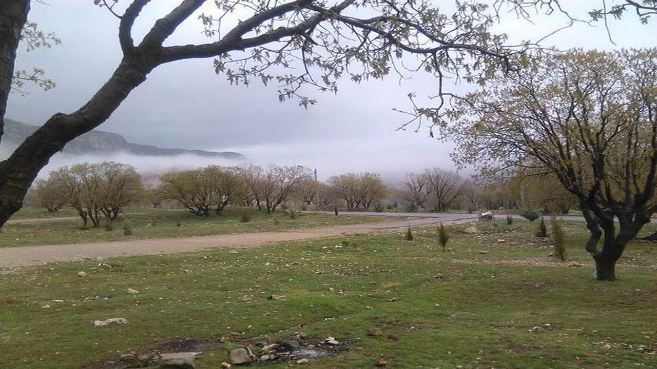 ۱۷ تفرجگاه جنگلی ایلام مهیای اقامت مسافران نوروزی است