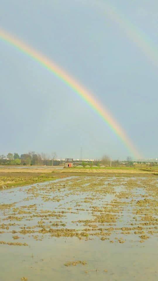 آسمان رنگین کمان در بابل رویت رنگین کمان بر فراز رمینهای کشاورزی روستای سنگرود پی + تصاویر
