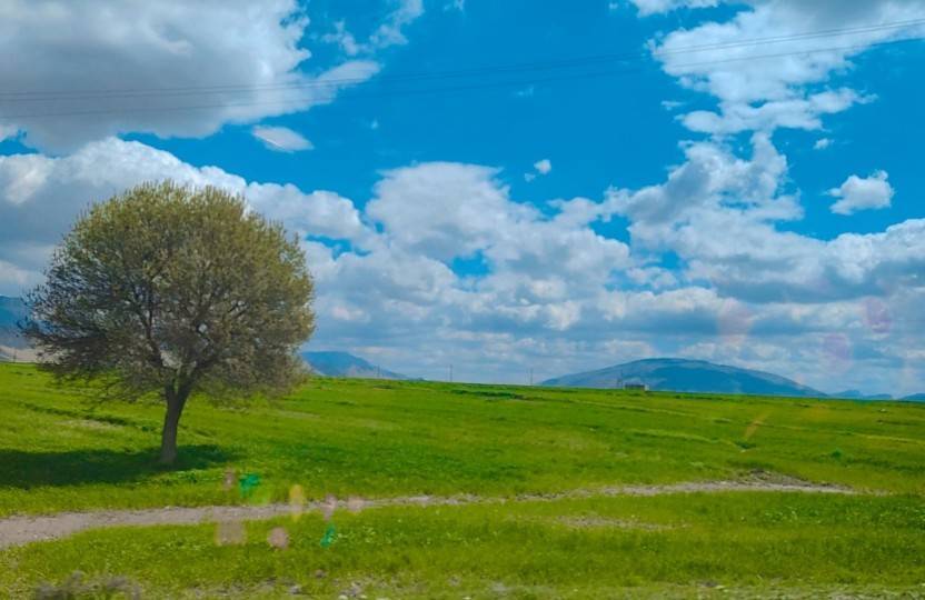 از