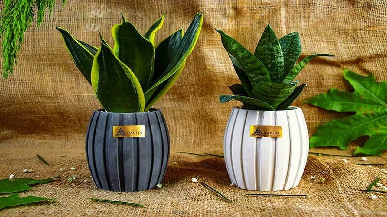 ساخت گلدان زیبا با تجهیزات ساده + فیلم