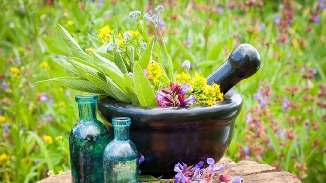 توصیه های طب ایرانی در فصل بهار