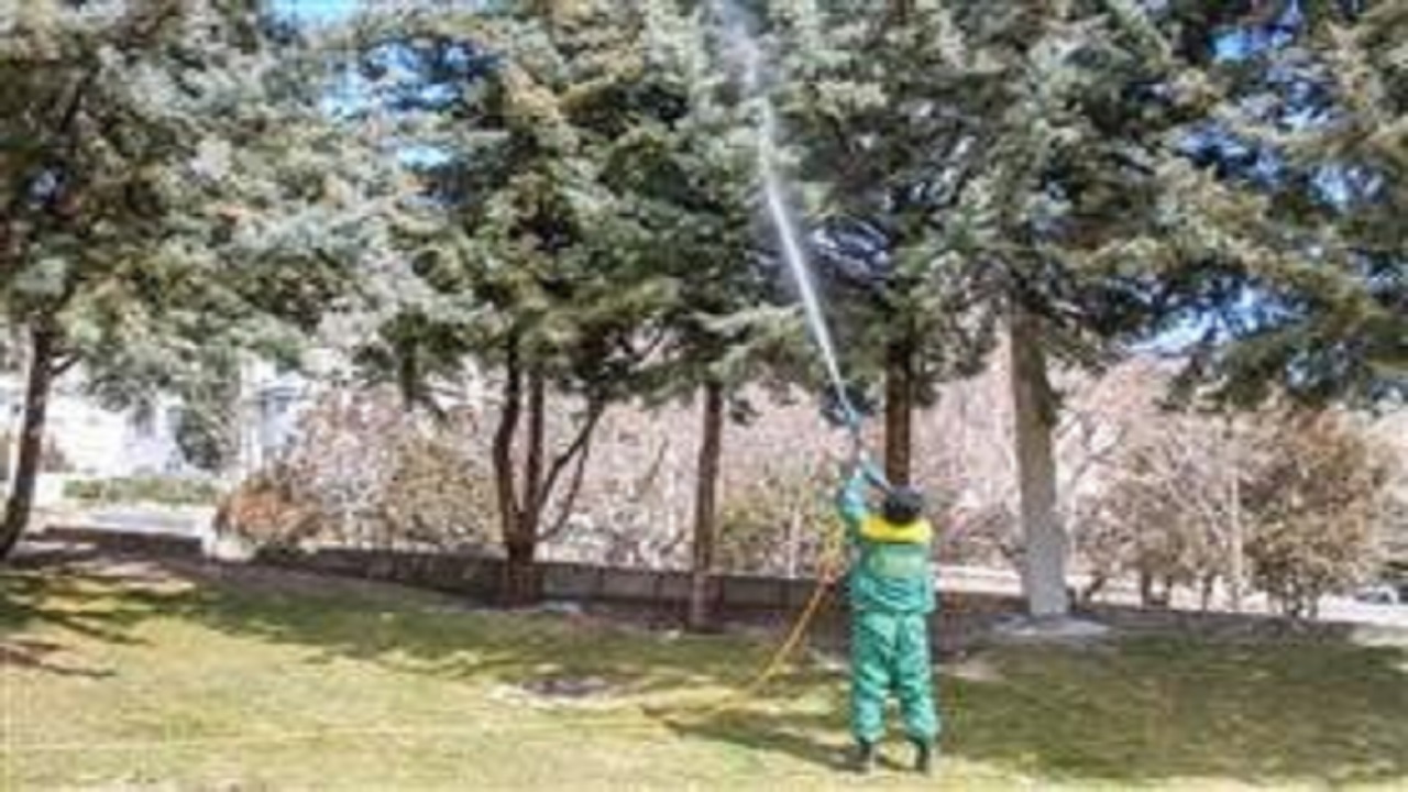 عملیات سم‌پاشی زمستانه درختان در کرج آغاز شد