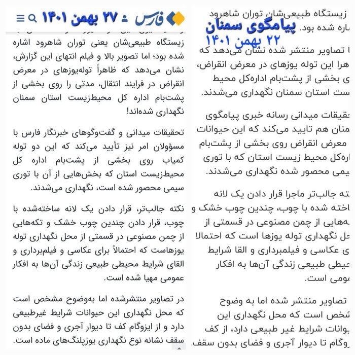 داستان&zwnj;سرایی نگهداری ۲ توله یوز توران در پشت&zwnj;بام از کجا شروع شد؟