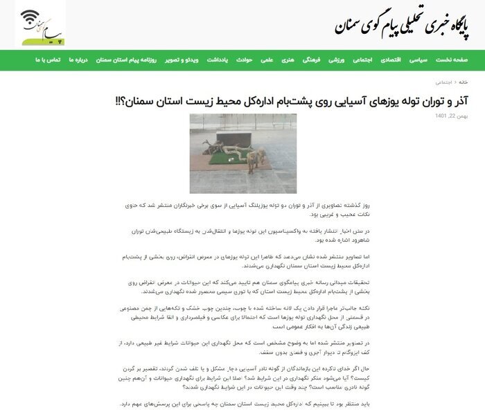 داستان&zwnj;سرایی نگهداری ۲ توله یوز توران در پشت&zwnj;بام از کجا شروع شد؟