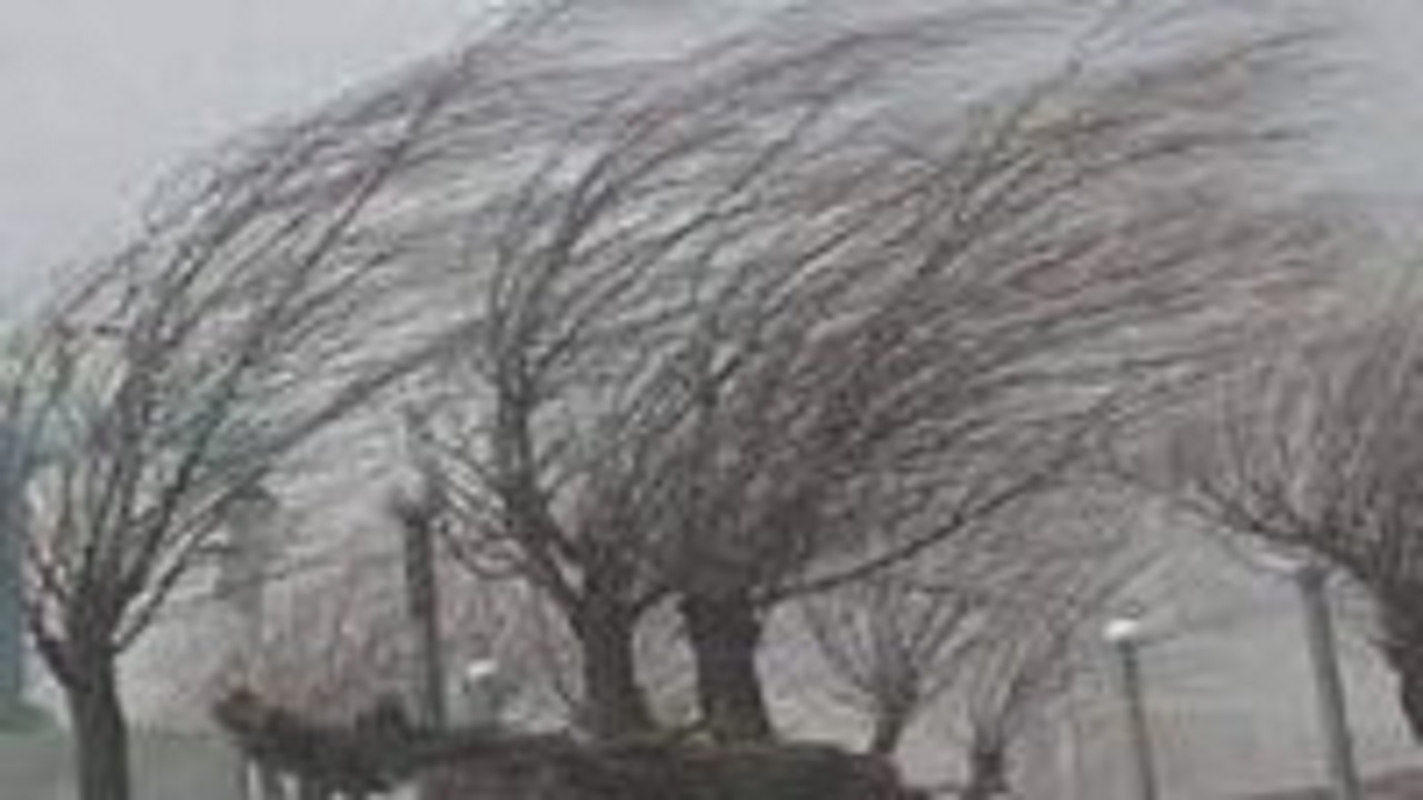 باد قم را در می نوردد