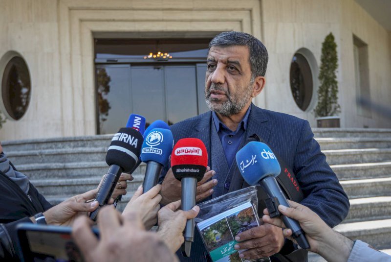 ضرغامی ضرغامی