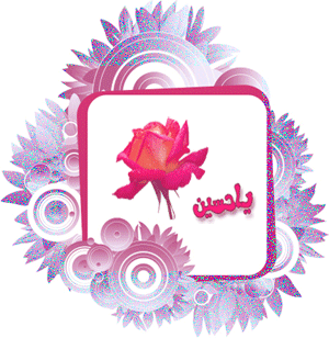 ولادت امام سوم
