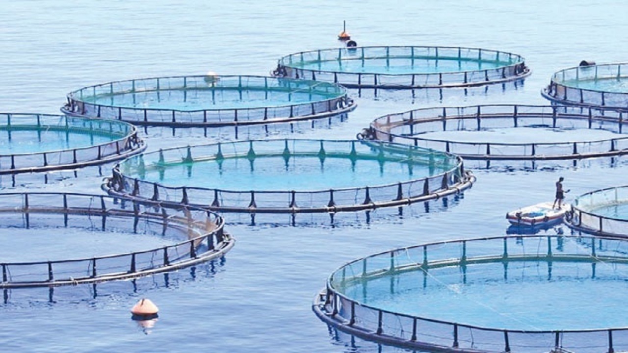 تکمیل پروژه برق‌رسانی به استخر‌های پرورش ماهی ریجاب نیازمند تامین اعتبار
