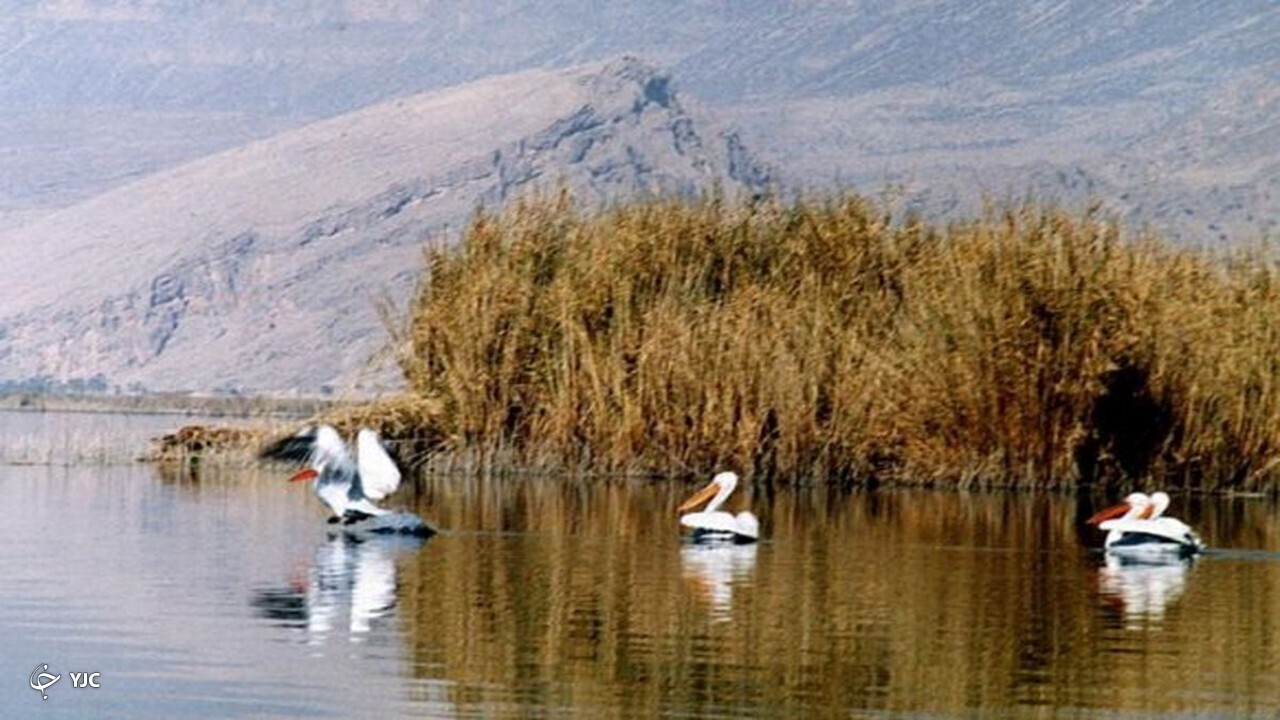 احیای تالاب بین‌المللی قوپی باباعلی مهاباد