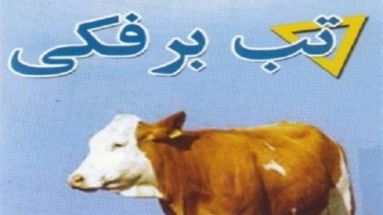 واکسیناسیون سه میلیون و ۶۵۰ هزار سر نوبت دام سبک و سنگین در استان کرمانشاه