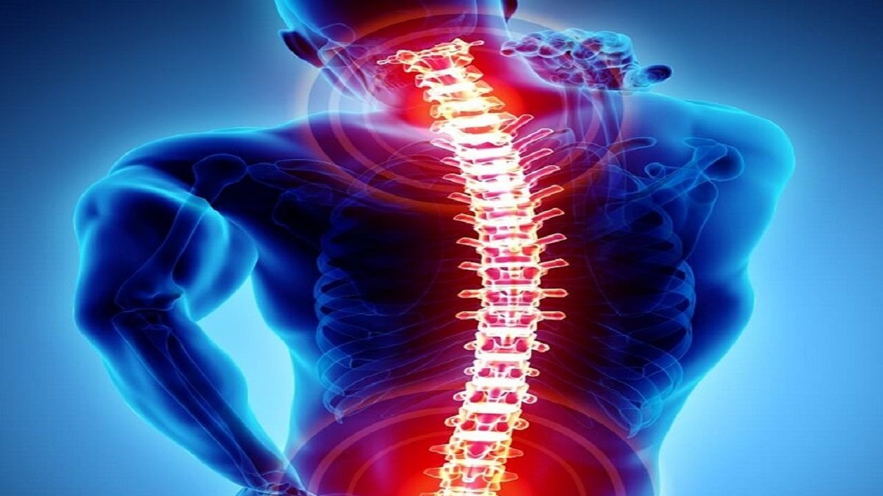 ورزش مناسب برای حفظ سلامت ستون فقرات + فیلم