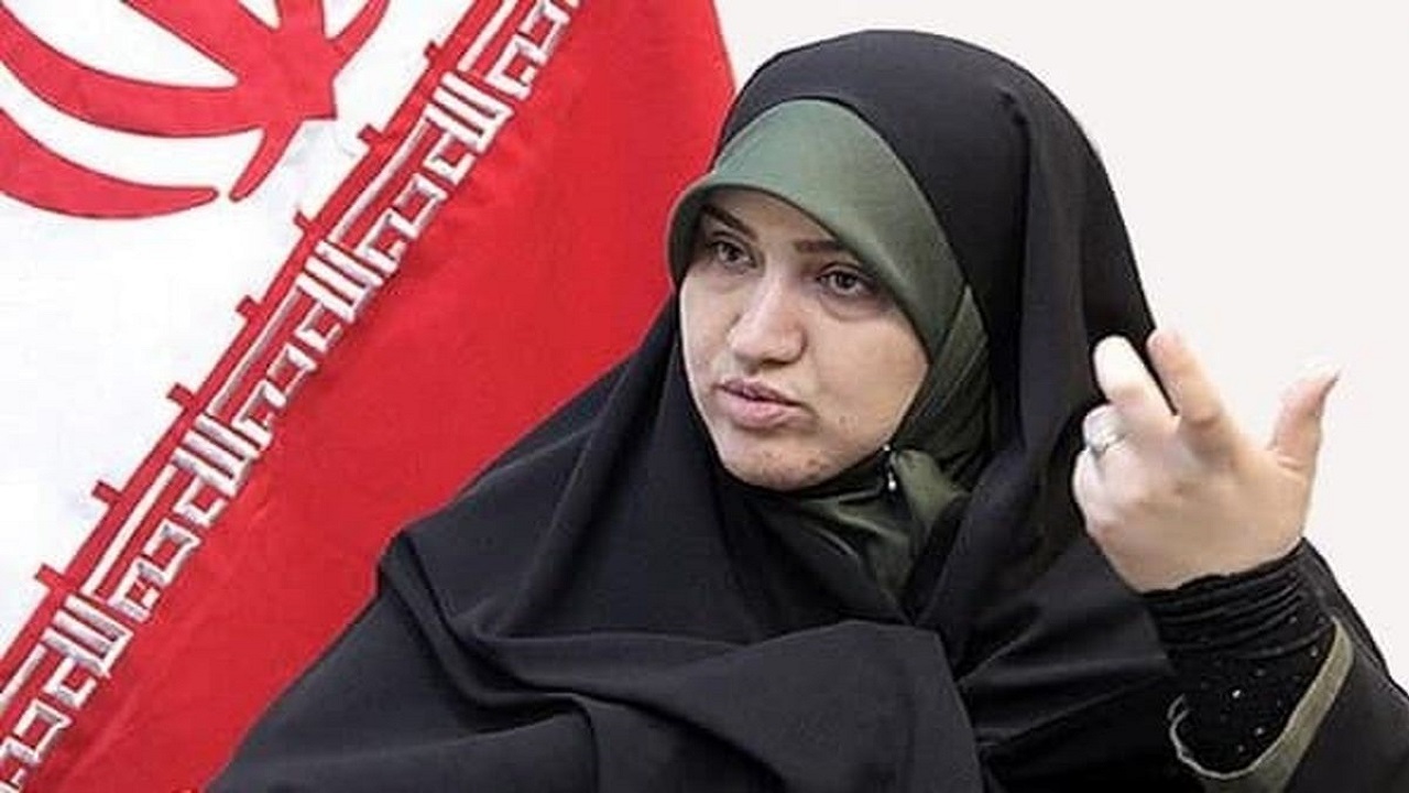 پیگیر اختصاص بخشی از عوارض آلایندگی به صندوق ملی محیط زیست هستیم
