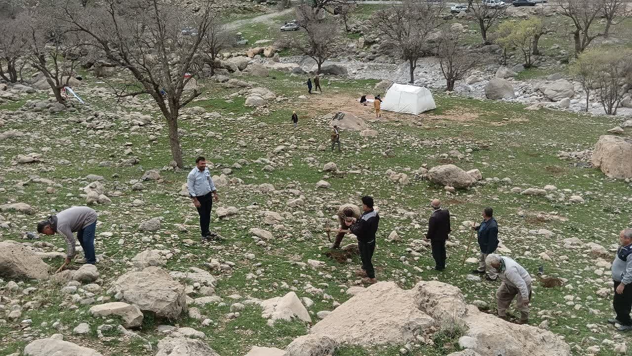 نهال‌کاری در اراضی ملی گناوه لری گچساران به همت دوستداران طبیعت