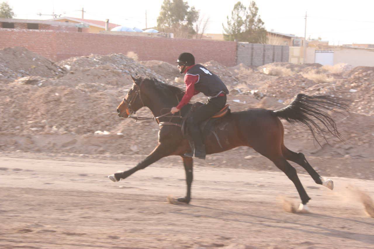 آغاز کورس اسب دوانی زمستانه در رفسنجان