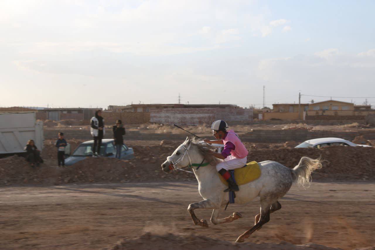 آغاز کورس اسب دوانی زمستانه در رفسنجان