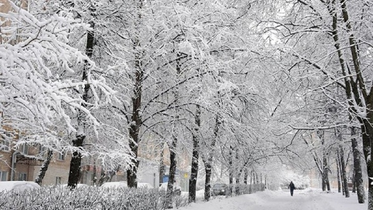 آخرین تلاش‌های زمستان برای دلبری از چهره مشهد+تصاویر