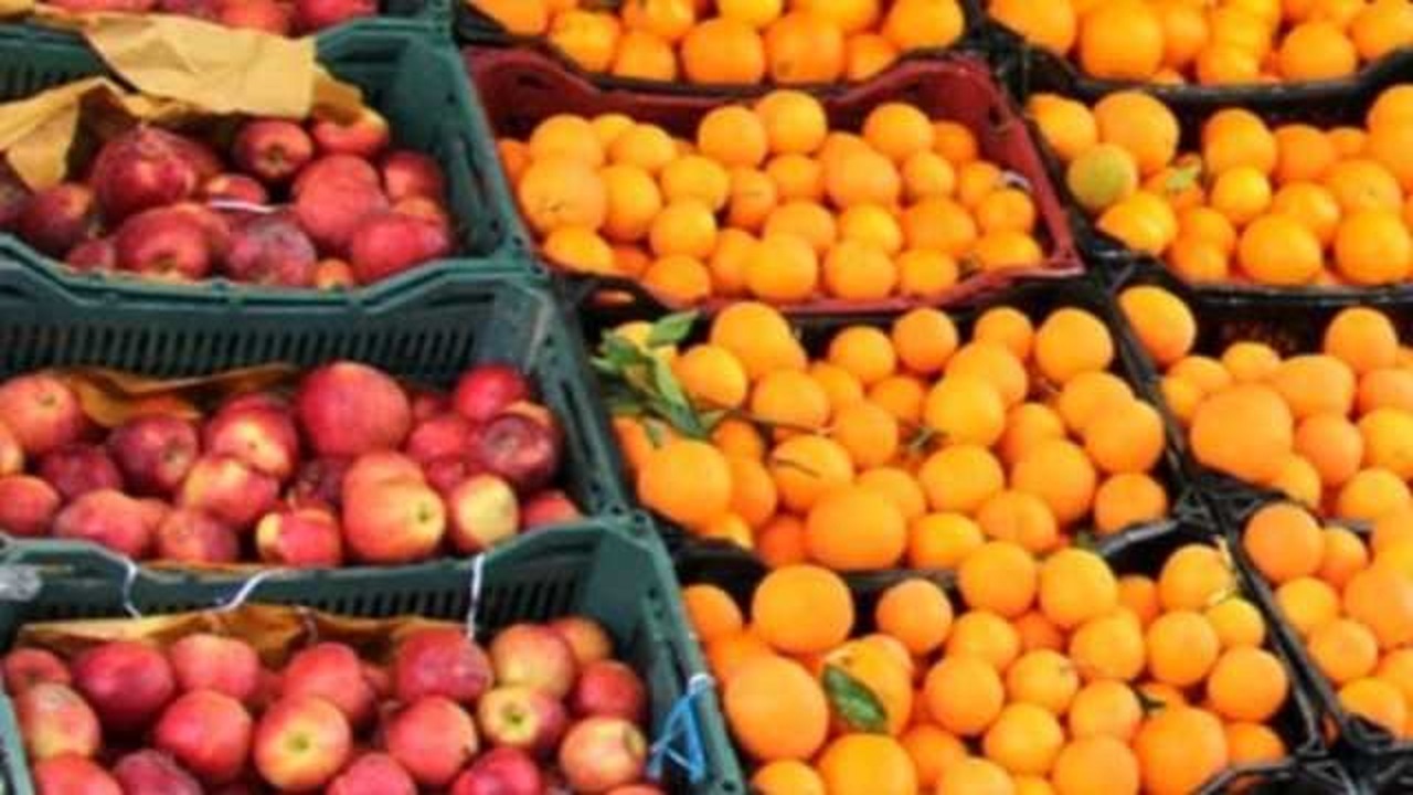 توزیع میوه شب عید  با نرخ ۱۰ تا ۱۵ درصد زیر قیمت بازار