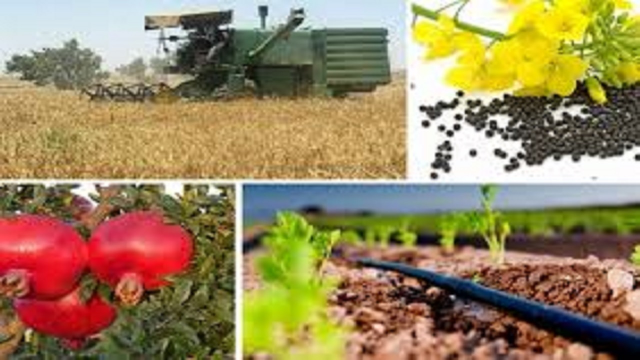 مهلت ثبت‌نام محصولات باغی و جالیزی برای اخذ کد شناسه تا نیمه اسفند
