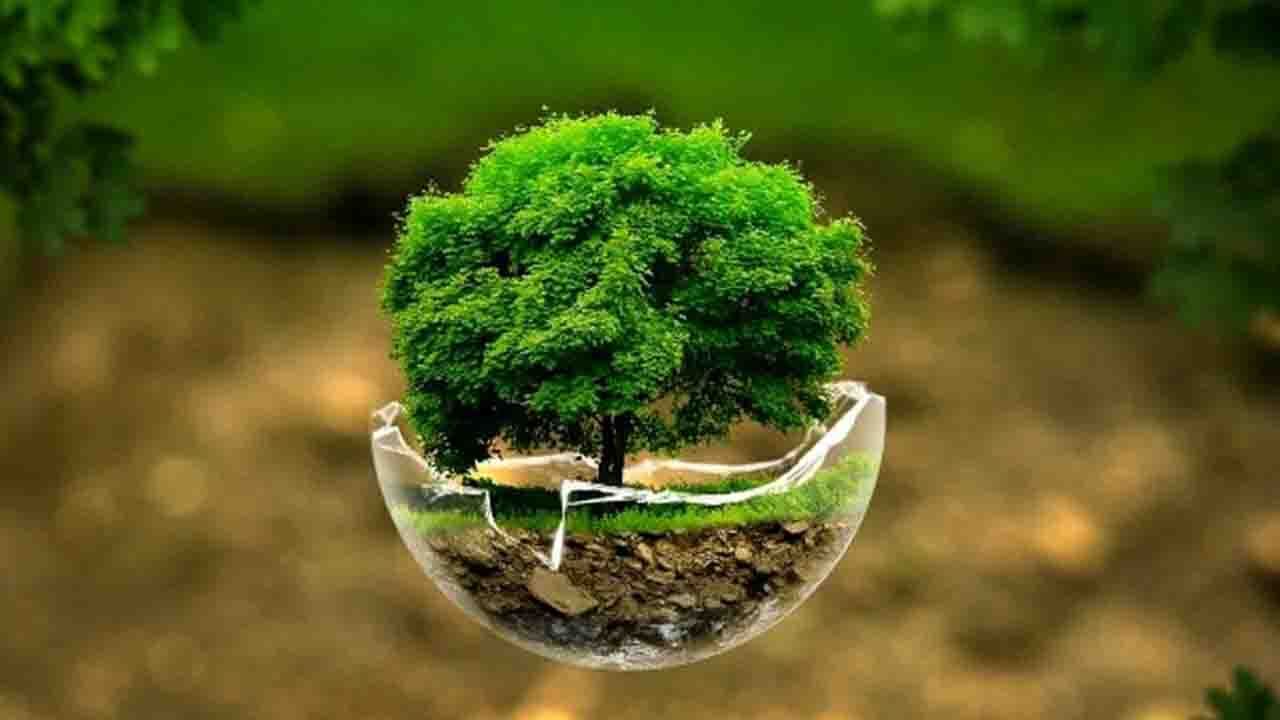طرح معدن سبز در کاشان جوانه زد