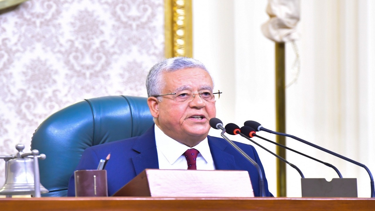 رئیس پارلمان مصر: همواره در کنار سوریه هستیم